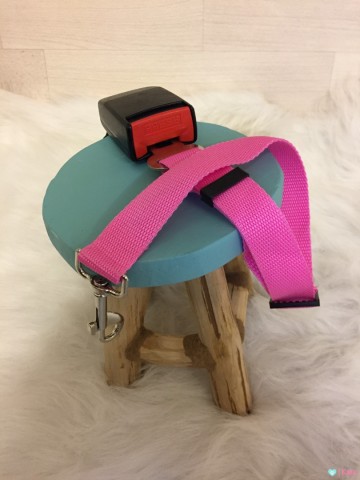 Hond Autogordel Roze 2