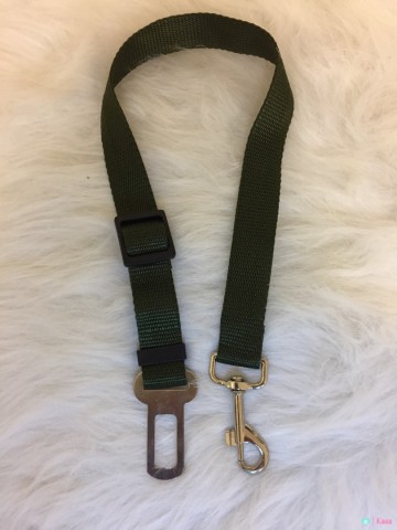 Hond Autogordel Groen 1