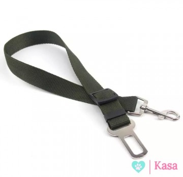 Hond Autogordel Groen