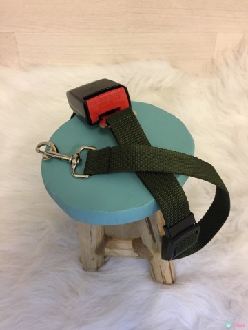 Hond Autogordel Groen 2