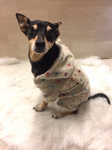 Jumpsuit Beer Dots 4