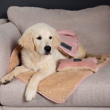 Scruffs Cosy Blanket Gift Set Blush Dog