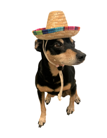 Sombrero Rainbow 3