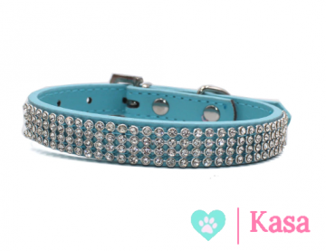 Halsband King Blue