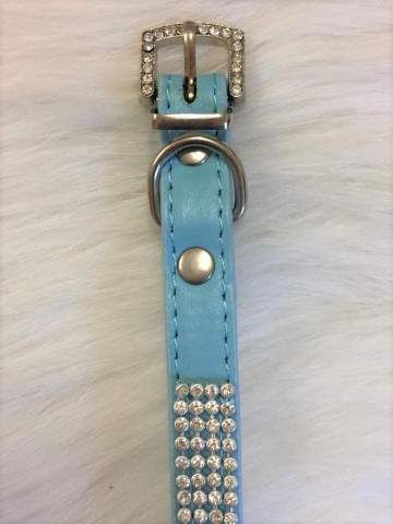 Halsband King Blue 4