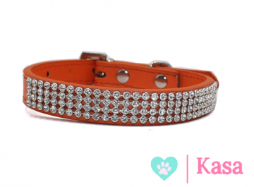 Halsband King Orange
