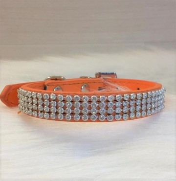 Halsband King Orange 2
