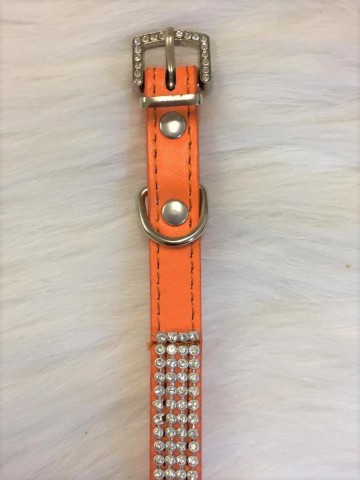Halsband King Orange 4