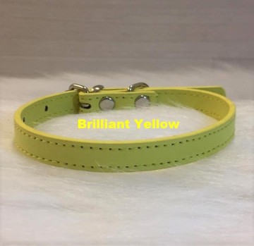 Ziggy Brilliant Yellow