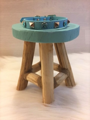 Halsband Spike Blue 1