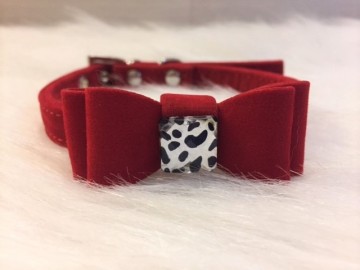 Halsband Hunter Red 2