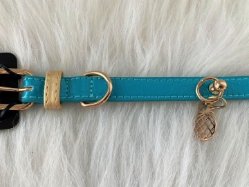 Noox Tropical Halsband Turquoise 2