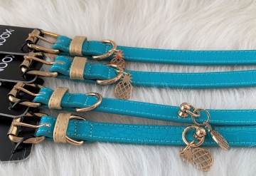 Noox Tropical Halsband Turquoise 5