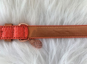 Noox Tropical Halsband Coral 3