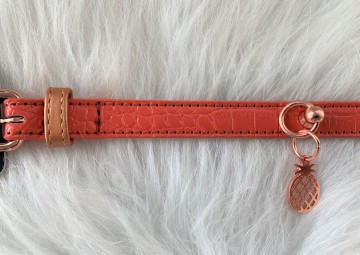 Noox Tropical Halsband Coral 2