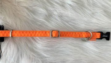 Halsband Oranje 3