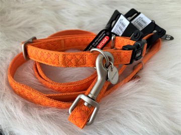 Halsband en Looplijn Oranje