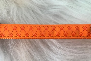 Halsband Oranje 4