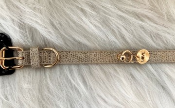 Noox Halsband Gecko Goud Details