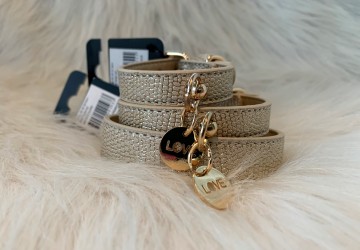 Noox Halsband Gecko Goud Maten