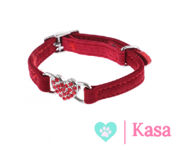 Halsband Indy Red