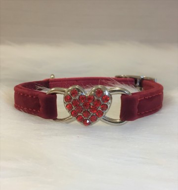 Halsband Indy Red 2