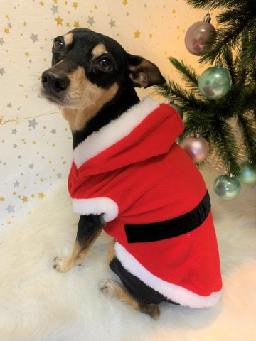 Trixie Hondenjas Kerstmannenpak