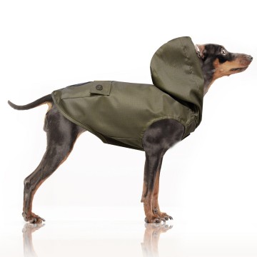 Regenjas Edgar Khaki Hond