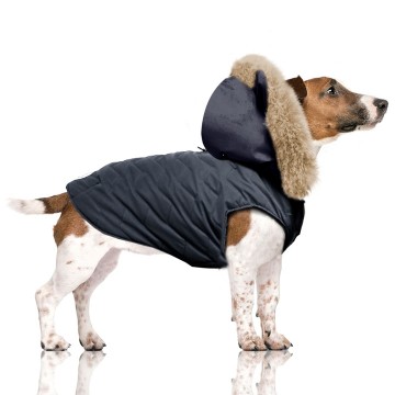 Milk & Pepper Hondenjas Kasper Puff Jacket Marine Dog