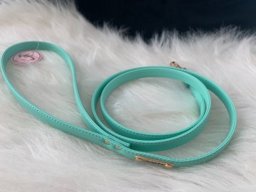 Funkylicious Mint Leash 1
