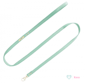 Funkylicious Mint Leash