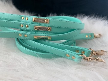 Funkylicious Mint Leash 3