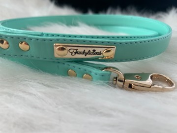 Funkylicious Mint Leash 2