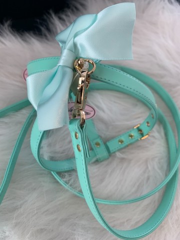 Funkylicious Mint Leash 5