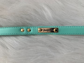 Funkylicious Mint Leash 4