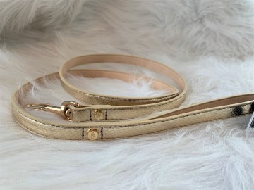 Python Gold Riem 1