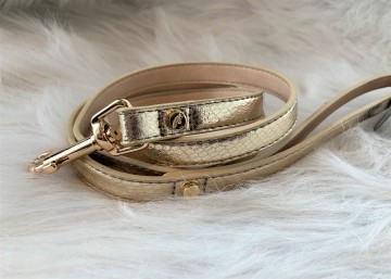 Python Gold Riem 2