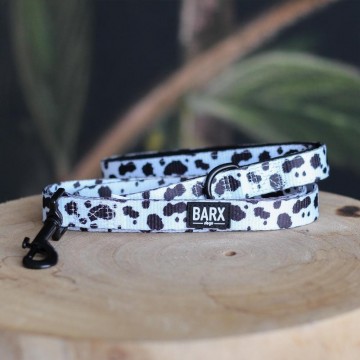 Barx Dalmatian Lijn 1