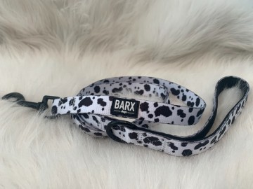 Barx Dalmatian Lijn 2