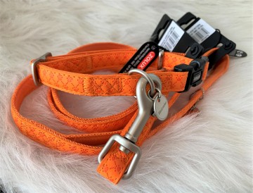 Looplijn en Halsband Oranje