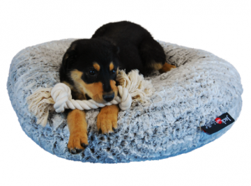 Jack and Vanilla Puff 1