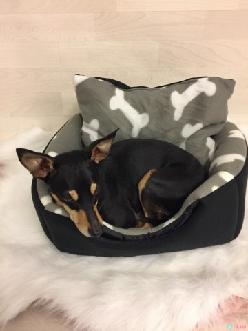 Bailey Iglo 3-in-1 1 Mand 2