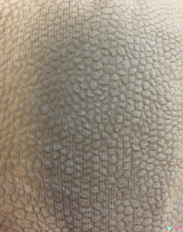 Snake Cuddle Cup Taupe 4