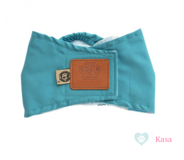 Plasband Ace Turquoise