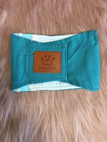 Plasband Ace Turquoise 2