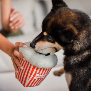 PLAY Pupcorn 6