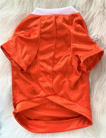 Oranje Voetbalshirt 2