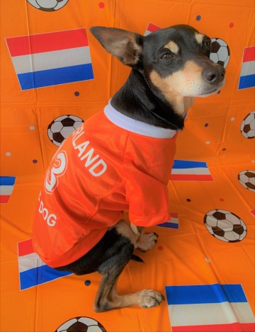 Oranje Voetbalshirt 3