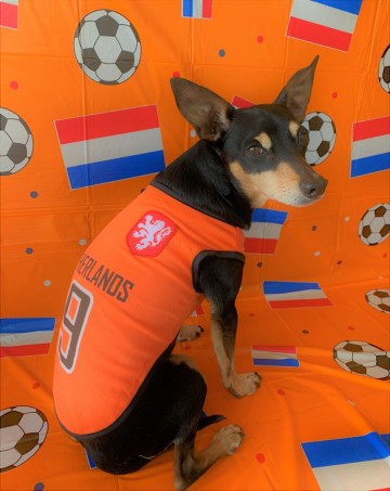 Voetbalshirt Nederland 3