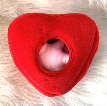 ZippyPaws Valentine´s Burrow Heart 'n Bears Hart